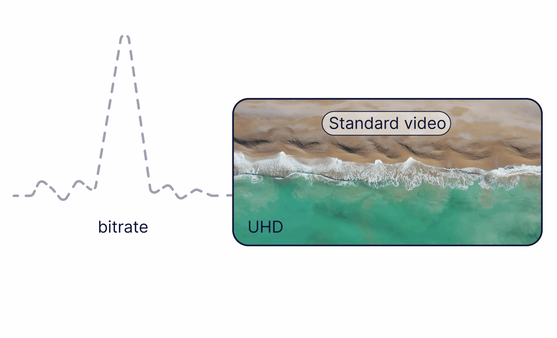 Standard Video Example